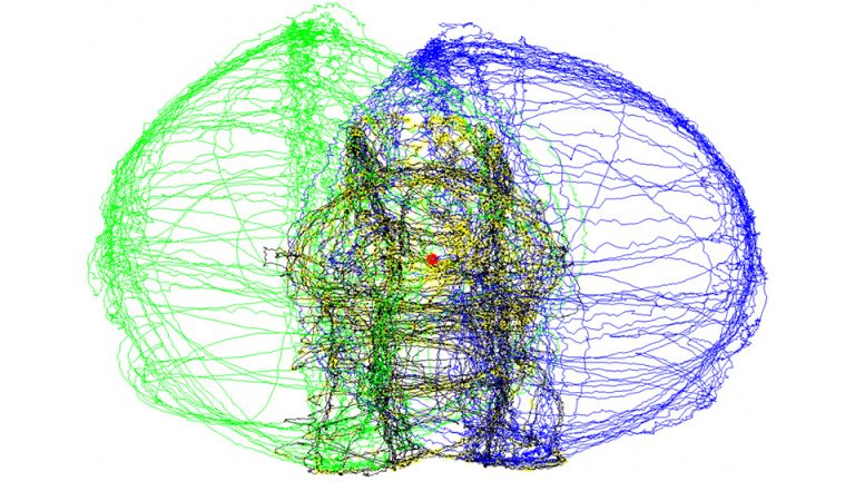 Mesure des trajectoires de la main